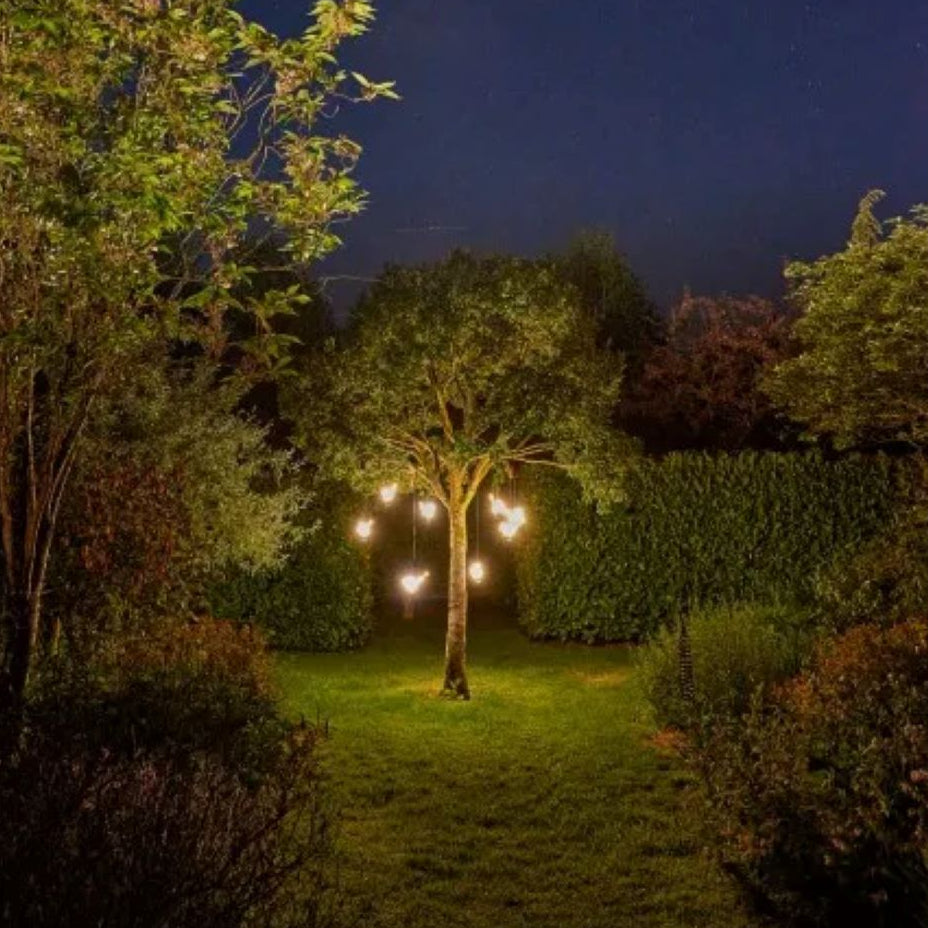 LED Hanging Robin Light